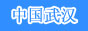 中国武汉政府门户网站